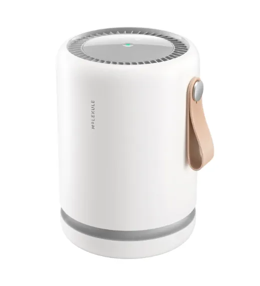 Molekule Air Mini Purifier